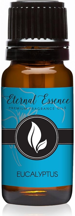 Eucalyptus Premium Grade Fragrance Oil - 10ml - Scented Oil