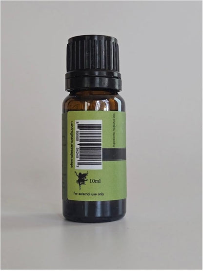 Cucumber Melon - Premium Grade Fragrance Oils - 10ml - Scented Oil