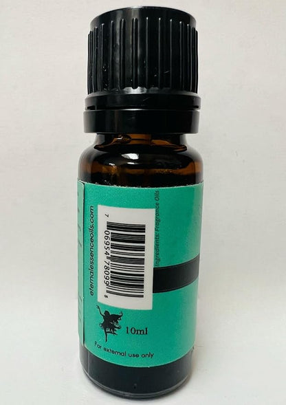 Chocolate Mint Premium Grade Fragrance Oil - Scented Oil - 10ml