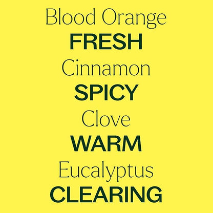Plant Therapy Germ Fighter Essential Oil Blend 100% Pure, Undiluted, Natural Aromatherapy, Therapeutic Grade 30 mL (1 oz)
