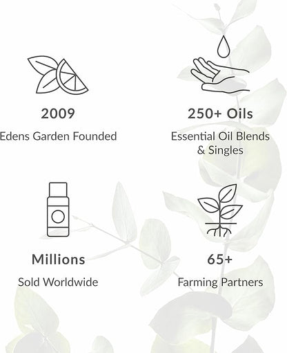 Edens Garden Common Cold Aid Essential Oil Blend- 100% Pure Premium Grade, Undiluted, Natural, Therapeutic, Aromatherapy, The Best for Skin, Humidifiers, Candle 118 ml (4 fl oz)