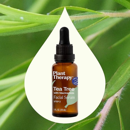 Plant Therapy Tea Tree with Niacinamide Facial Serum 1 oz with Tea Tree Essential Oil, Witch Hazel, and Willow Bark, Excellent for Problem Skin While Creating Healthy, Clear Skin