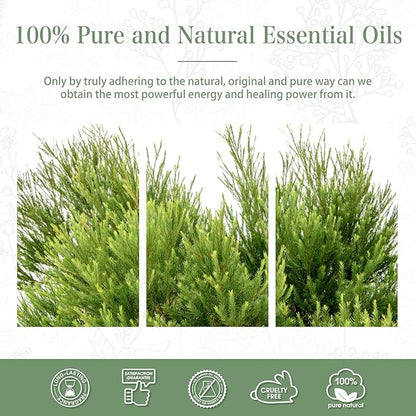1.01FL.Oz Tea Tree Essential Oil, for Aromatherapy Diffusers, Humidifiers, Great for DIY Candle and Soap Making, Gift for Friend(30ML)